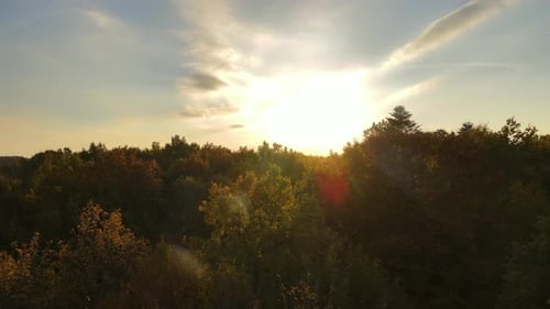 View From Above of Colorful Woods at Sunset Yellow and Orange Canopies in Autumn Forest on Sunny