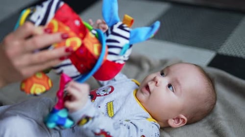 Infant Plays with Colorful Zebra Stuffed Animal Toy