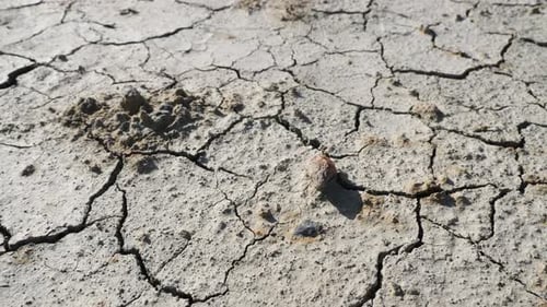 Cracked Dry Earth in Arid Climate
