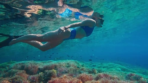 Set of Four Footages Real Speed and Slow Motion with Woman Swimming Underwater in the Tropical Sea