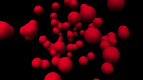 Blood Cell Segmentation