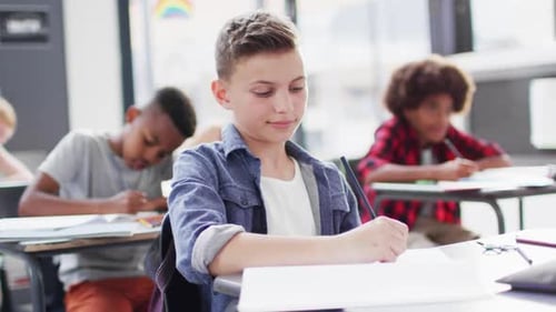 Portrait of happy diverse schoolchildren at desks in school classroom
