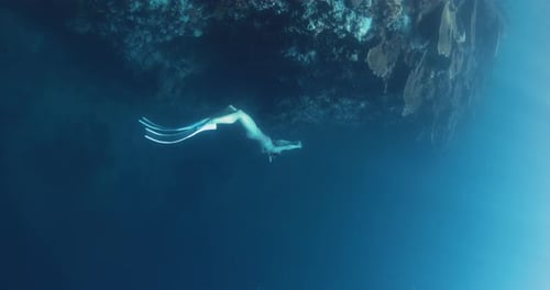 Woman Freedives on Tropical Ocean Near Coral Reef Slow Motion Freediving in Blue Ocean
