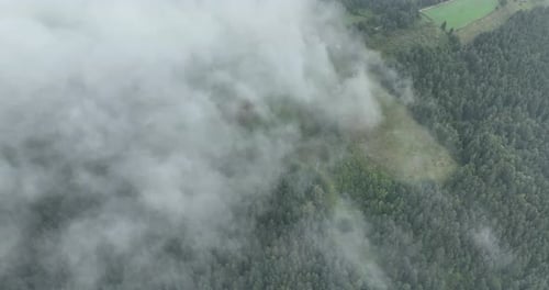 Aerial View of Forest and Clouds