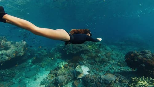 Woman Freediver on Reef Young Female Freediver Swims Underwater and Explores the Healthy Coral Reef