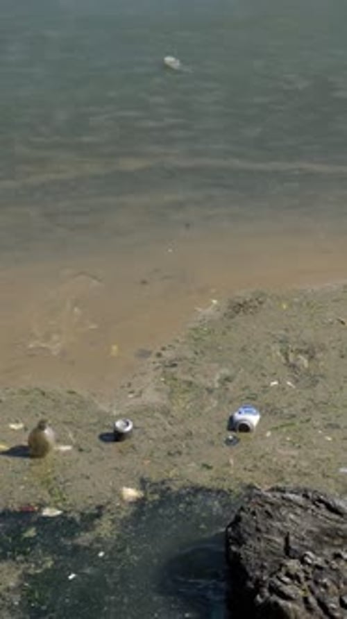 Verschmutztes Flussufer mit schwimmendem Plastikmüll