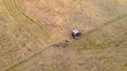 Landwirt auf Oldtimer-Traktor dreht trockenes Heu auf Wiese auf landwirtschaftlichem Feld