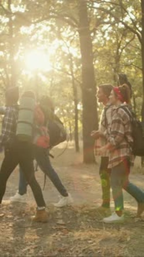 Side View of a Group of Friends in Hiking Clothes with Backpacks Walking Through a Sunny Forest
