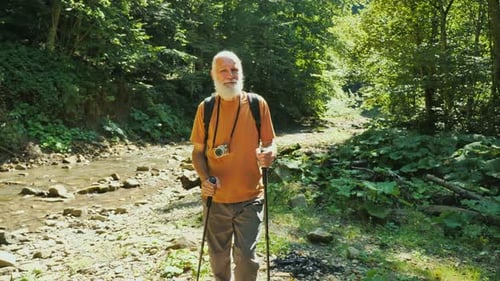 Travel Elderly Man of a Hiker With Backpack and Nordic Walking Sticks
