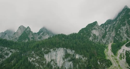 Scenic Mountain Range with Fog and Forest
