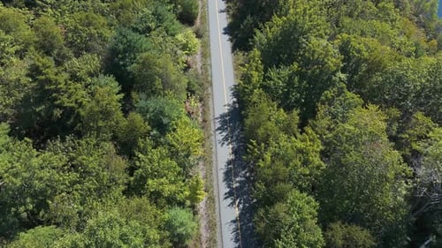 Sunlit Jog In Nature Man Running In Halifax Park Drone View From The Sky