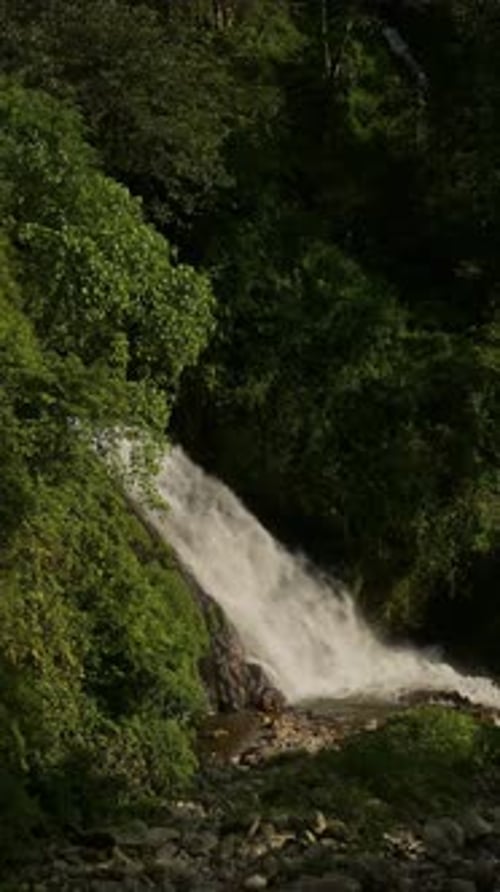 Vertical Rainforest Waterfall Scenery and River in Nepal, Vertical Video for Social Media Instagram