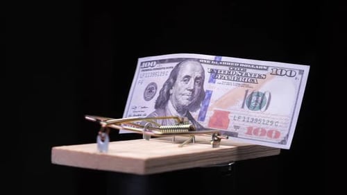 Mousetrap with 100 Dollar Bill Luring People Into Risky Investments