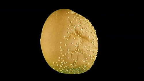 Rotating Sesame Seed Bun on Black Background