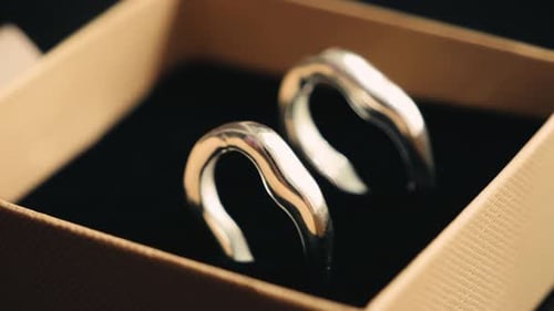 Silver Earrings in a Gift Box Close Up