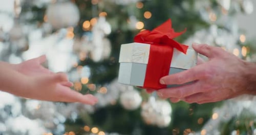 Exchanging Christmas Present in Front of Christmas Tree
