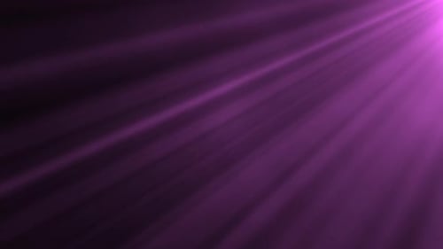 Purple Light Rays Loop Background