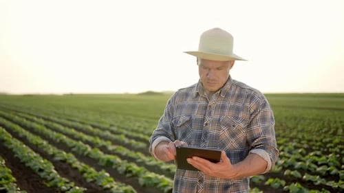 Farmer Man Using Tablet at Field Portrait Male Farmer