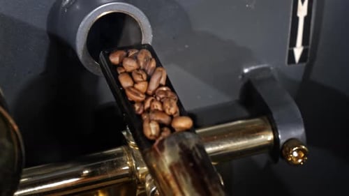 Coffee Beans Being Poured into Machine