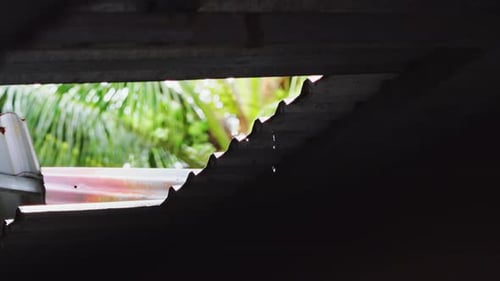 Rain Drops Dripping from Under Tropical Roof