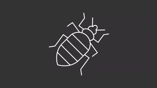 Animated cockroach white icon