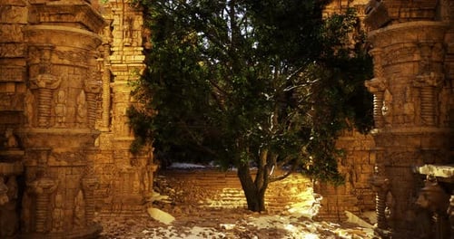 Ancient Ruins Illuminated By Sunlight with a Tree in the Center