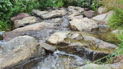 Water stream flows between green forests, spring day in slow motio