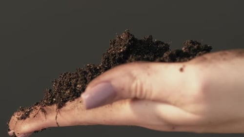 Humus Fertility Soil Analysis Hand Dirt Planting