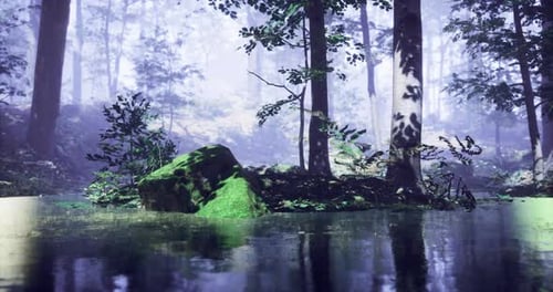 Nebelige Waldlandschaft mit Reflexionen im ruhigen Wasser in der Morgendämmerung