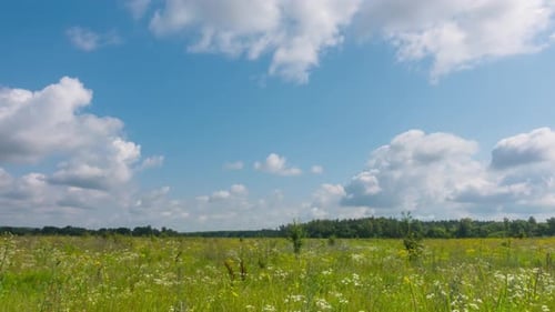 Sommerlicher Zeitraffer der ländlichen Wiesenlandschaft
