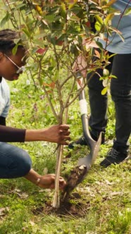 Verschiedene Aktivisten für den Klimawandel arbeiten daran, Bäume im Wald zu pflanzen