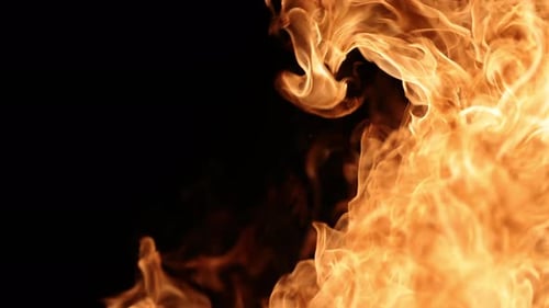 Bright Flame Is Growing On A Black Background