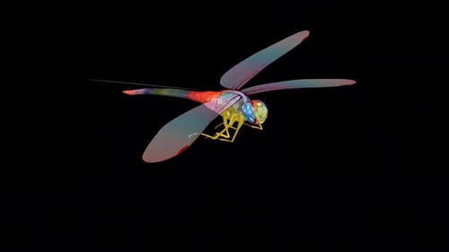 Rainbow Dragonfly - Flying Loop - Aerial Front Side Angle Close Up View - Alpha Channel