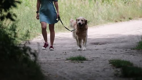Woman and Golden Retriever Walking on Path