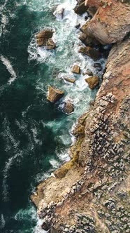 Vertical Video of Sea Cliff