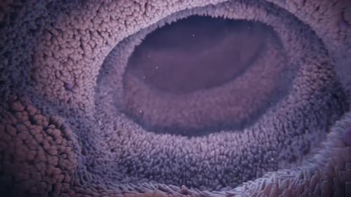 Microscopic view of textured surface with concentric circular patterns