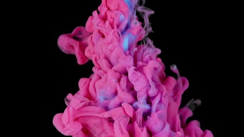 Abstract Pink and Blue Ink Swirls on Black