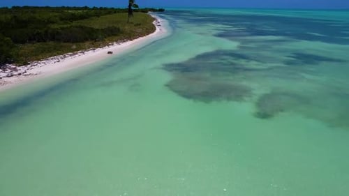 Tropical Beach Aerial