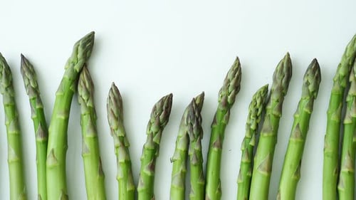 Frischer Spargel officinalis