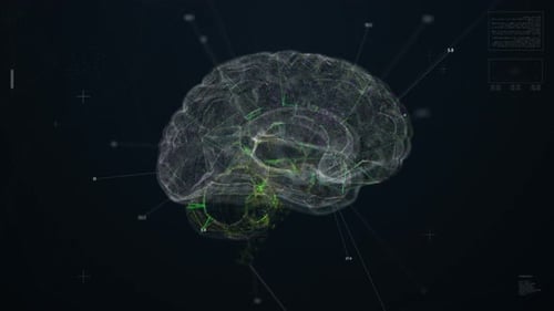 Futuristic Digital Brain Rotation with HUD Elements