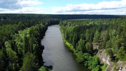 Serene River Flowing Through Lush Green Forest Landscape