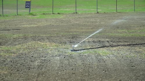 Watering freshly planted grass with a sprinkler