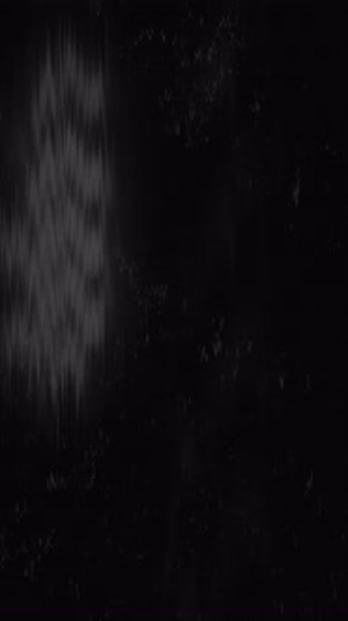 Vertical Analog Glitch Overlay with Retro Film Grain and Noise