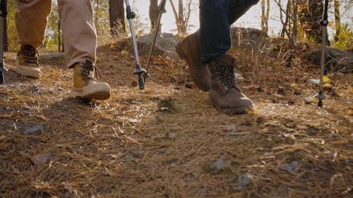 Close Up of Two People Hiking with Sticks in Forest