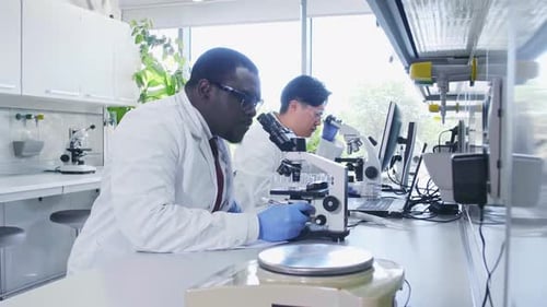 Wissenschaftler, der im Labor arbeitet, Ärzte stellen Laborwerkzeuge für die medizinische Forschung her, Mikroskop-Reagenzgläser