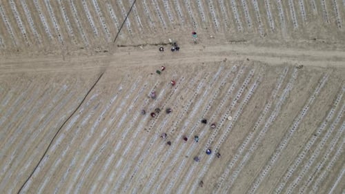 Aerial Farmer Workers