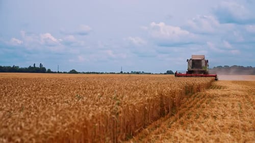 Combine Agriculture Machinery Technology. Grain harvester working in field gathering crop of wheat