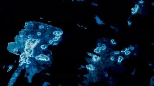 Taches dues à la projection de films analogiques et effet Dirt Shake and Wiggle