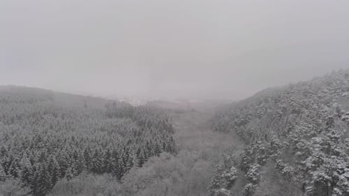 Starker Winternebel bedeckt ein schneebedecktes Bergtal, Aerial Dolly
