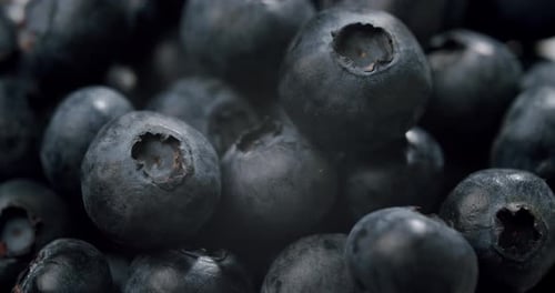 CloseUp of Fresh Blueberries with Dark Background for Healthy Eating Concepts